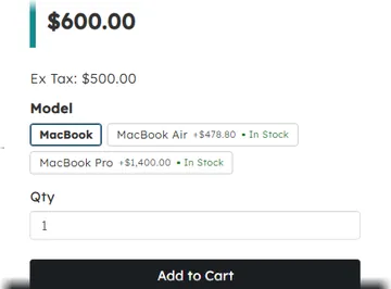MacBook: accessories to tick below the options (without the module)